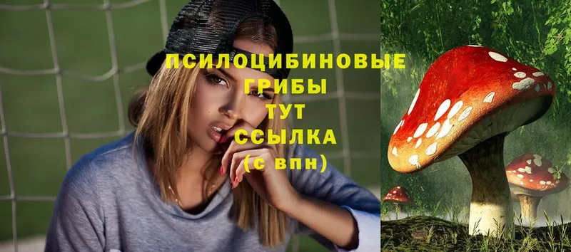 Псилоцибиновые грибы Magic Shrooms Нефтеюганск